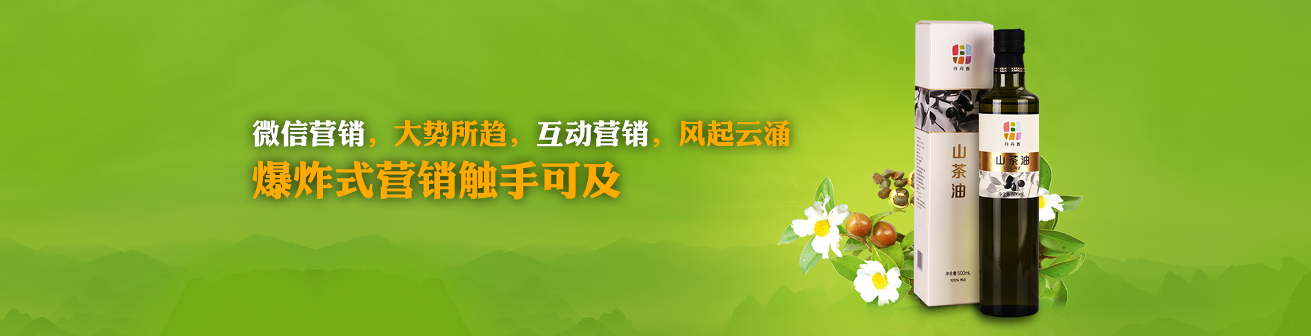 移动手机电商网站解决方案
