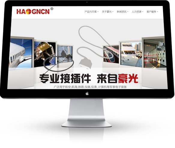 大型门户网站