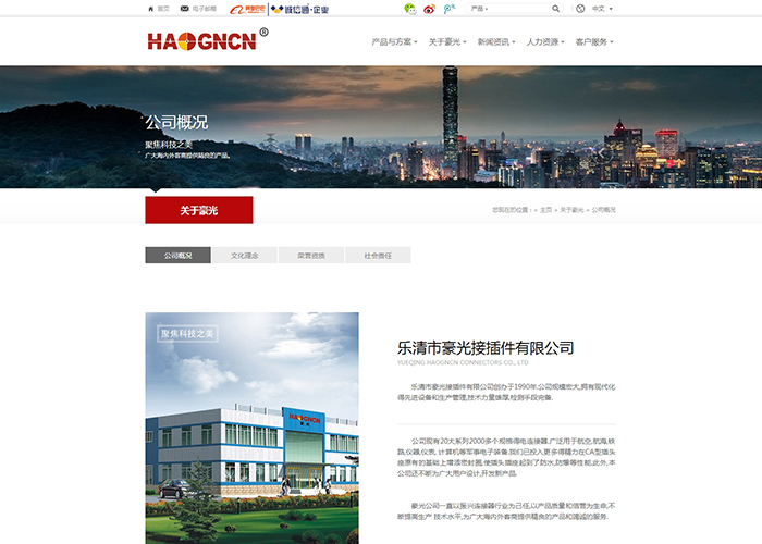 盛世传媒-柳市网站建设